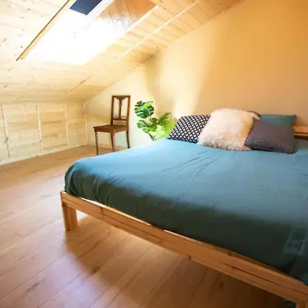 Duplex Ecologique - Home-one * Dannemarie-sur-Crete